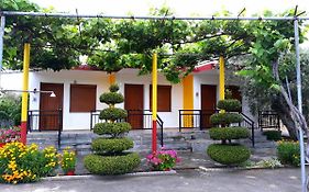 Studio Zoi